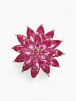 ����� ������� ����������, ���� ��������� � �������