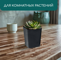 ������ ��� �������, 800 ��, 9 9 12.5 ��, �������, ����, Greengo