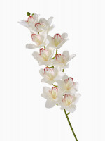 ����� ������������� �������� ��������, H=90 ��, �����