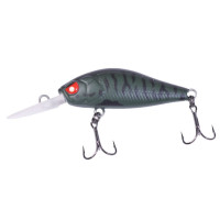  . Lj Pro Series Anira Lbsp, 3.9 ,  304