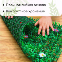  , 60 40 ,   , Greengo