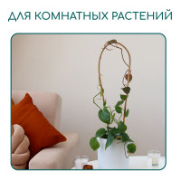   , H=60 , , Greengo
