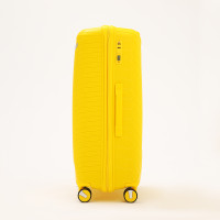 ������� ������� 100 � (l), ����� �� ������, ������� �����, 4 ������, ���� �����