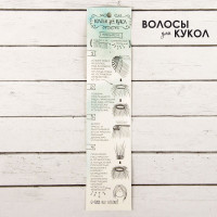  -      : 15 , :100 ,   16