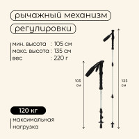   Maclay Carbon 900, , 1 .