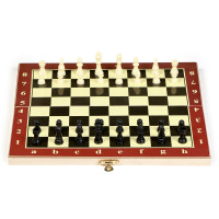 ������� "����", 24 � 24 ��