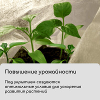  , 10 3.2 ,  42 / ,   -, , Greengo,  30%