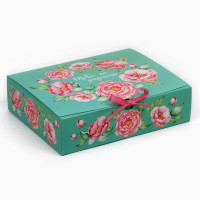 ������� ����������, ��������, ����� �� ��������, 31 � 24.5 � 8 ��