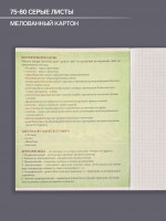 , 48   , Calligrata, . 