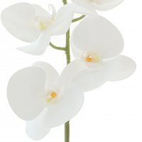 ������ ������������� �������, L13 W10 H75 ��, 4�.