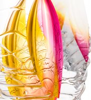 Gr-41/ 1 �����-�����