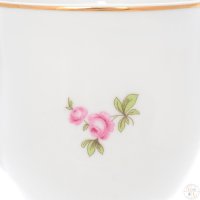 ������ Dubi ��������� ����� 500 ��