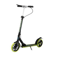  Maxiscoo Lx-205a 2021,  /