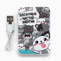 ,       5000 Mah . Pb-06 , 20,5  16,5 .