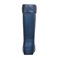       Ice Land  543-, -60,  36-37,  