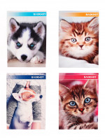 ������� �6, 40 ������ � ������ �� ������� ������� � ������, ������� ���������� ������, ����