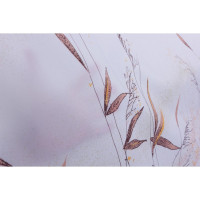    Cannetto, 240  200 , 