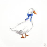 �������� Dubi ���� 20 ��