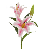    (real Touch), L24 W22 H84 