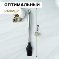   Magistro Titan, 28 ,  