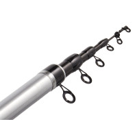 ������� ����������� � �������� Salmo Diamond Bolognese Medium M, ���� 5-20 �., ����� 5 �.