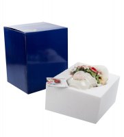 Cms-33/34 .     (pavone)