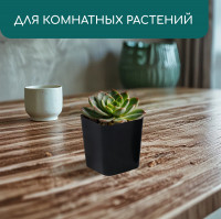   , 500 , 8.5 8.5 9.5 , , , Greengo