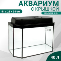 �������� ����������� � �������, 40 ������, 51 23 34/39 ��, ������