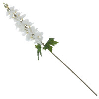 ������ ������������� ����������, L12 W10 H81 ��