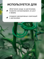     ,   50 ., , , Greengo