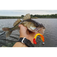  Lj 3d Series Red Tail Shad 3.5in (08.90)/pg03 5.