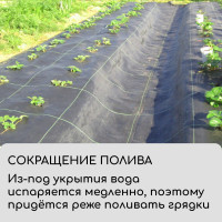  ,  , 10 1.1 ,  100 / , , Greengo,  50%