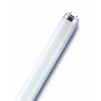   L 58w/640 58 T8 4000 G13 . Osram 4008321959843