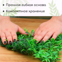  , 25 25 , , Greengo