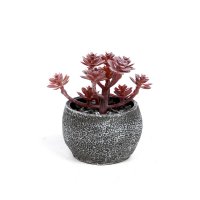 ������������� �������� ��������� � ������ 7*10��