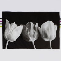 ����� ��� ����� ������ ������ ������, 180x180 ��, Eva