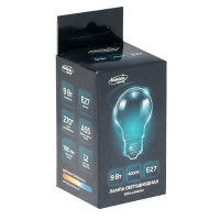  C Luazon Lighting, A55, 9 , E27, 780 , 4000 ,  