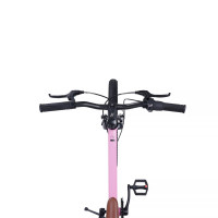  20 Maxiscoo 7bike M200,  