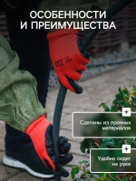  , ,   ,  10, -, Greengo