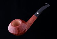  Fiamma Di Re Nobile