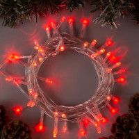   5 , Ip20,  , 50 Led, 8 , 220 ,  