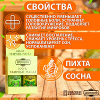 ����� ������� ����� �����, ����� �������������, 2 ��. �� 17 ��