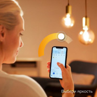   Gauss Smart Home Diamond E27 Wi-fi (1350112)