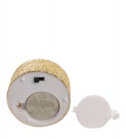 Led-21     (6.)