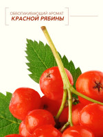   ,   ,  , 250 , 