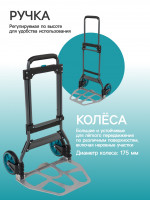   , ,   100 , , , Greengo