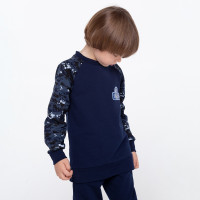   (, )  ,   /-,  110  (30)