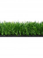  ,  ,  50 , 1 2 , , Greengo