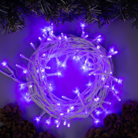   10 , Ip44,  , 100 Led,  , 8 , 220 