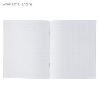  36    Calligrata ,   , 